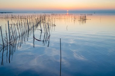 Albufera Doğal Parkı 'nda güzel bir gün batımı Valencia, İspanya