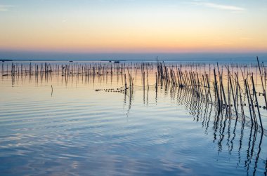 Albufera Doğal Parkı 'nda güzel bir gün batımı Valencia, İspanya