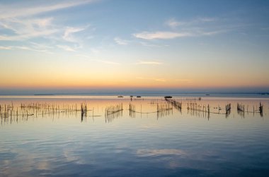 Albufera Doğal Parkı 'nda güzel bir gün batımı Valencia, İspanya
