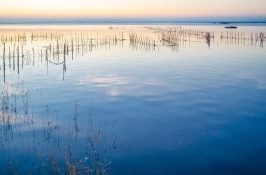 Albufera Doğal Parkı 'nda güzel bir gün batımı Valencia, İspanya