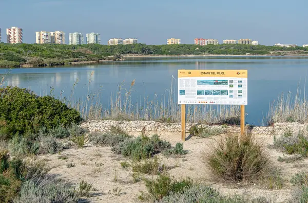 VALENCIA, İspanya - 29 Aralık 2019: Pujol Pond (Estany del Pujol), Albufera Doğal Parkı, Valencia, İspanya