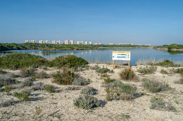 VALENCIA, İspanya - 29 Aralık 2019: Pujol Pond (Estany del Pujol), Albufera Doğal Parkı, Valencia, İspanya