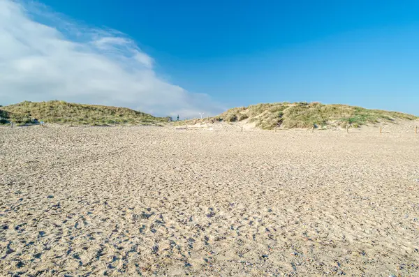 İspanya, Valencia sahilindeki kum tepelerinin manzarası.