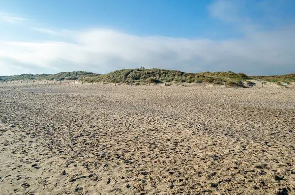 İspanya, Valencia sahilindeki kum tepelerinin manzarası.