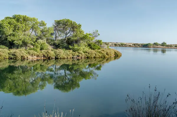Pujol Gölü (Estany del Pujol), İspanya 'nın Valencia eyaletindeki Albufera Doğal Parkı' nda bulunan yapay gölet.