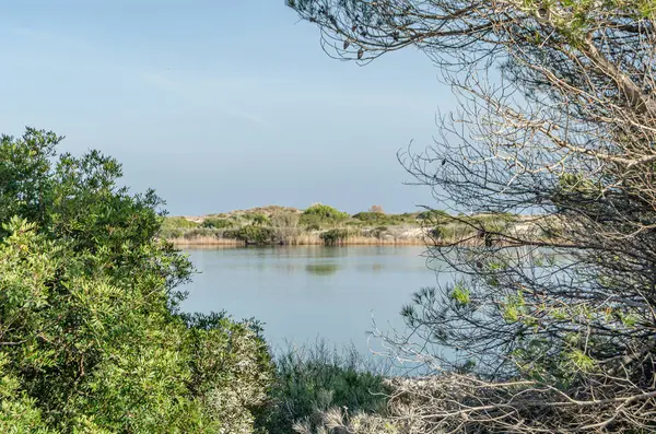 Pujol Gölü (Estany del Pujol), İspanya 'nın Valencia eyaletindeki Albufera Doğal Parkı' nda bulunan yapay gölet.