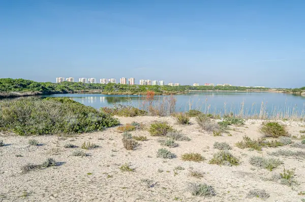 Pujol Gölü (Estany del Pujol), İspanya 'nın Valencia eyaletindeki Albufera Doğal Parkı' nda bulunan yapay gölet.