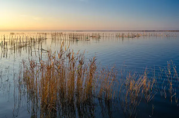 Albufera Doğal Parkı 'nda güzel bir gün batımı Valencia, İspanya