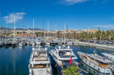PALMA, İspanya - 11 Ocak 2015: Palma, Mallorca, Balearic Adaları, İspanya