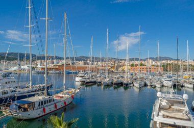 PALMA, İspanya - 11 Ocak 2015: Palma, Mallorca, Balearic Adaları, İspanya