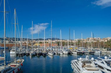 PALMA, İspanya - 11 Ocak 2015: Palma, Mallorca, Balearic Adaları, İspanya