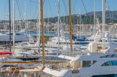 PALMA, İspanya - 11 Ocak 2015: Palma, Mallorca, Balearic Adaları, İspanya
