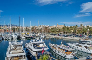PALMA, İspanya - 11 Ocak 2015: Palma, Mallorca, Balearic Adaları, İspanya