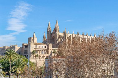 Palma Katedrali ve Palma, Mallorca, Balearic Adaları 'ndaki La Almudaina Kraliyet Sarayı manzarası, İspanya