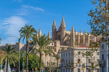Palma Katedrali ve Palma, Mallorca, Balearic Adaları 'ndaki La Almudaina Kraliyet Sarayı manzarası, İspanya