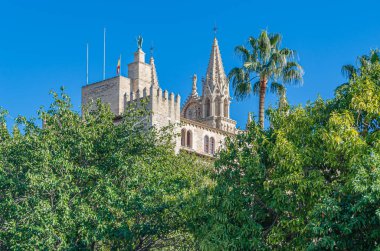 Palma Katedrali ve Palma, Mallorca, Balearic Adaları 'ndaki La Almudaina Kraliyet Sarayı manzarası, İspanya