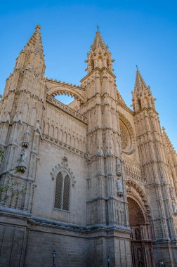 Palma Santa Maria Katedrali (İspanyolca: 