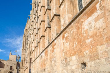 Palma Santa Maria Katedrali (İspanyolca: 