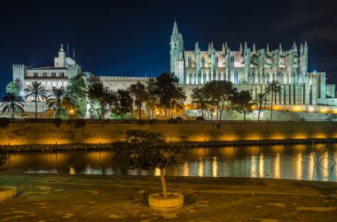 Palma Santa Maria Katedrali (La Seu olarak da bilinir) Palma, Mallorca, Balearic Adaları, İspanya 'da bulunan bir Levantine Gotik tarzı Katolik katedrali.