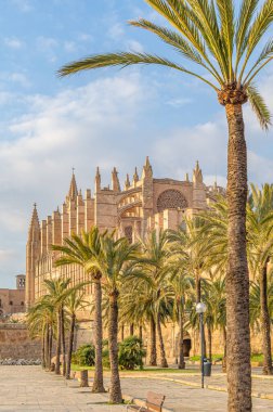 Palma Santa Maria Katedrali 'nin (La Seu olarak da bilinir) günbatımı manzarası, Palma, Mallorca, Balearic Adaları, İspanya' da bulunan bir Levantine Gotik tarzı Katolik katedrali.