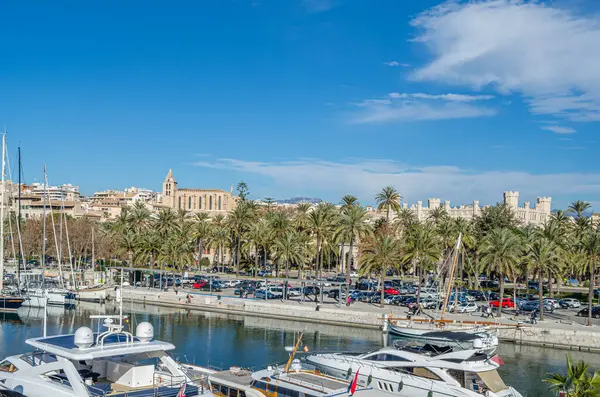 PALMA, İspanya - 11 Ocak 2015: Palma, Mallorca, Balearic Adaları, İspanya