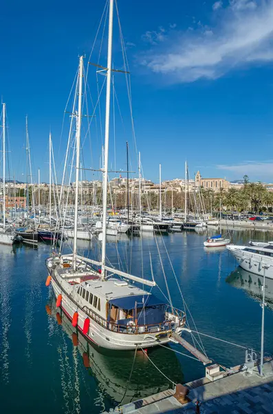 PALMA, İspanya - 11 Ocak 2015: Palma, Mallorca, Balearic Adaları, İspanya