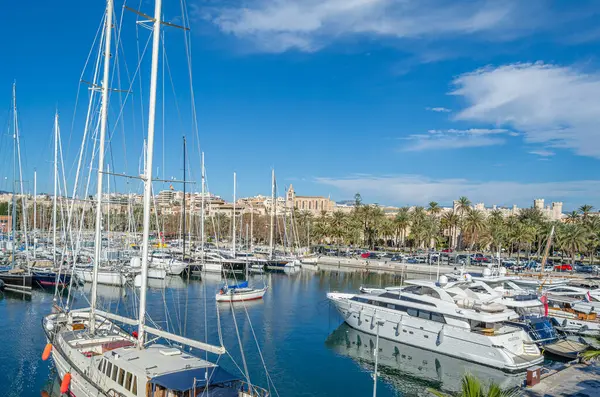PALMA, İspanya - 11 Ocak 2015: Palma, Mallorca, Balearic Adaları, İspanya