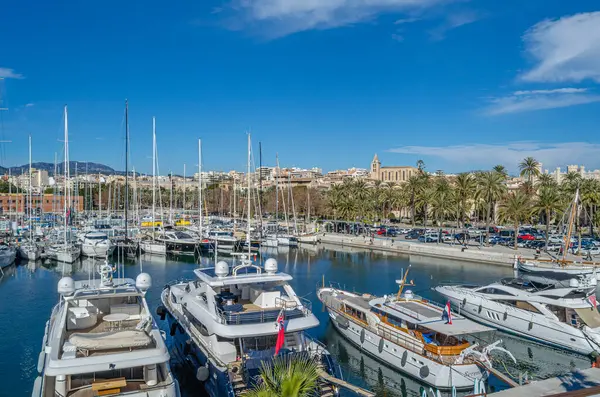 PALMA, İspanya - 11 Ocak 2015: Palma, Mallorca, Balearic Adaları, İspanya