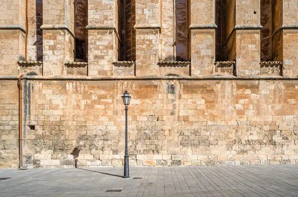 Palma 'nın Santa Maria Katedrali (La Seu olarak da bilinir) Palma, Mallorca, Balearic Adaları' nda bulunan Levantine Gotik tarzı bir Katolik katedralidir.