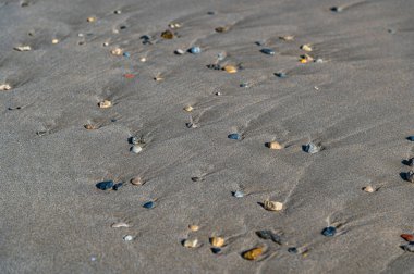 Kumsalda kıyıya vuran küçük taşlar.