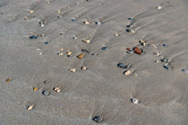 Kumsalda kıyıya vuran küçük taşlar.
