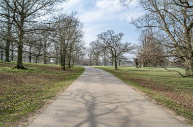 Doğal arka plan, baharda bir parkta patika.
