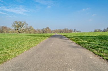 Doğal arka plan, baharda bir parkta patika.
