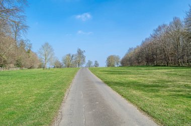 Doğal arka plan, baharda bir parkta patika.