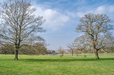 Stamford 'daki bir parktan görüntü, bir pazar kasabası