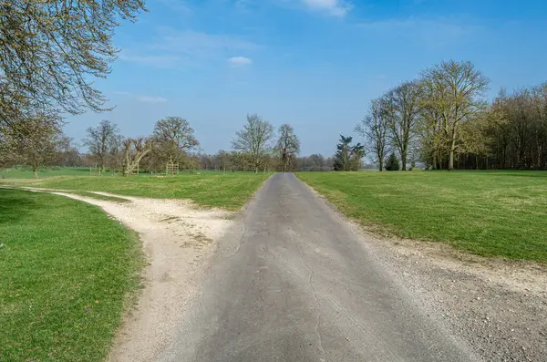 Doğal arka plan, baharda bir parkta patika.