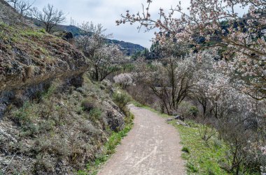 Trail in the Jucar River Gorge, near the town of Cuenca, Castilla la Mancha, Spain