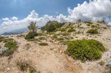 La Pedriza 'daki manzara, Guadarrama Dağları' ndaki büyük bir granit batholith Madrid Topluluğu, İspanya. Bu kayalık çıkıntı sayısız kayalık ve kayalık yamaçlardan oluşur. Fisheye görünümü