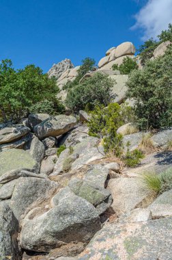 La Pedriza 'daki manzara, Guadarrama Dağları' ndaki büyük bir granit batholith Madrid Topluluğu, İspanya. Bu kayalık çıkıntılar sayısız kayalık ve kayalık yamaçlardan oluşur.