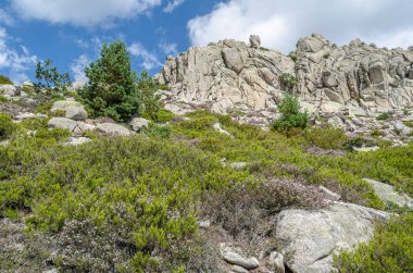 La Pedriza 'daki manzara, Guadarrama Dağları' ndaki büyük bir granit batholith Madrid Topluluğu, İspanya. Bu kayalık çıkıntılar sayısız kayalık ve kayalık yamaçlardan oluşur.