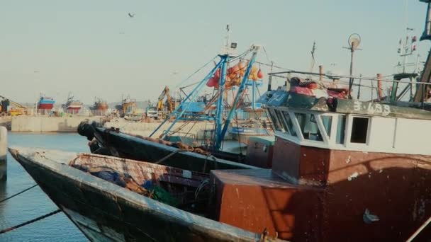 유명한 어선은 모로코의 대서양의 에사우이라 항구에 정박했습니다 고품질 Fullhd — 비디오