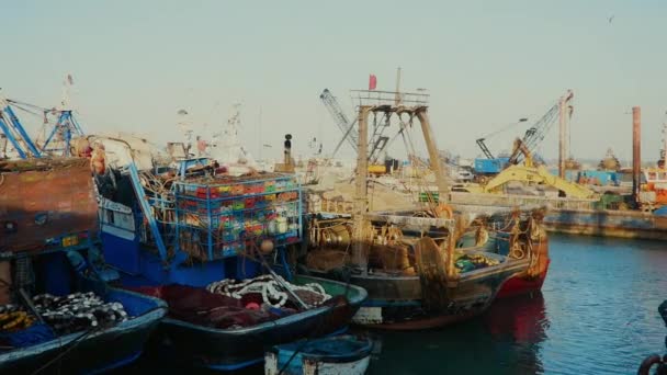 Barcos Pesqueros Puerto Essaouira Marruecos Imágenes Fullhd Alta Calidad — Vídeos de Stock