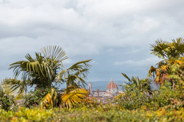Talya Palmiye Ağaçları Klasik Katedrali Olan Güzel Yeşil Floransa — Stok fotoğraf