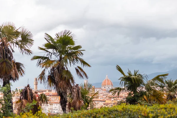 Kaliteli Binalar Katedrallerden Oluşan Kırmızı Çatıları Olan Güzel Yeşil Floransa — Stok fotoğraf