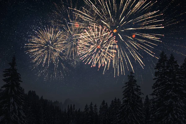 Zlatý Krásný Ohňostroj Exploduje Hvězdné Obloze Silvestra2023 Dovolená Oslava Ohňostroj — Stock fotografie