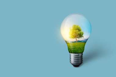 Yeşil çayırlı yaratıcı ampul ve günbatımında güneş ışığıyla ahşap. Güneş enerjisi ve elektrik tasarrufu kavramı. Doğa ve güç 