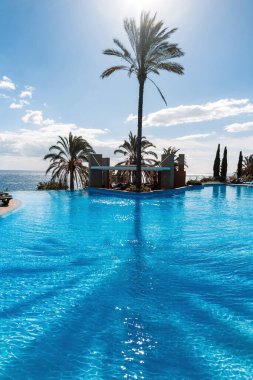 Amazing summer vacation with pool, palm trees and ocean on a sunny warm day in Madeira, Portugal. Palm tree shadow on azure water