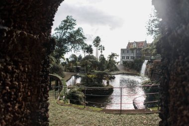 Beautiful exotic garden with palm trees, pond, palm trees, waterfall and Monte Palace. Traveling on the island of Madeira