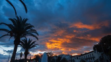 Amazing colorful sunset with clouds and palm trees in Madeira island, Funchal city