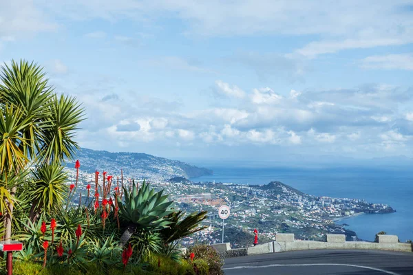Beautiful View Island Madeira Mountains City Funchal Palm Trees Ocean — ストック写真